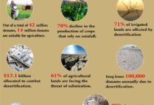 Photo of Desertification in Iraq: A Statistical Analysis
