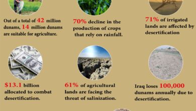 Photo of Desertification in Iraq: A Statistical Analysis