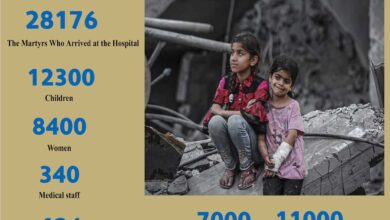 Photo of War Statistics on Gaza After (128) Days