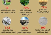 Photo of بالأرقام نسبة التصحر في العراق