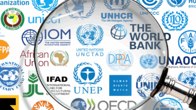 Photo of عمل المنظمات الدولية في العراق