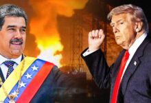 Photo of عالم بلا قواعد